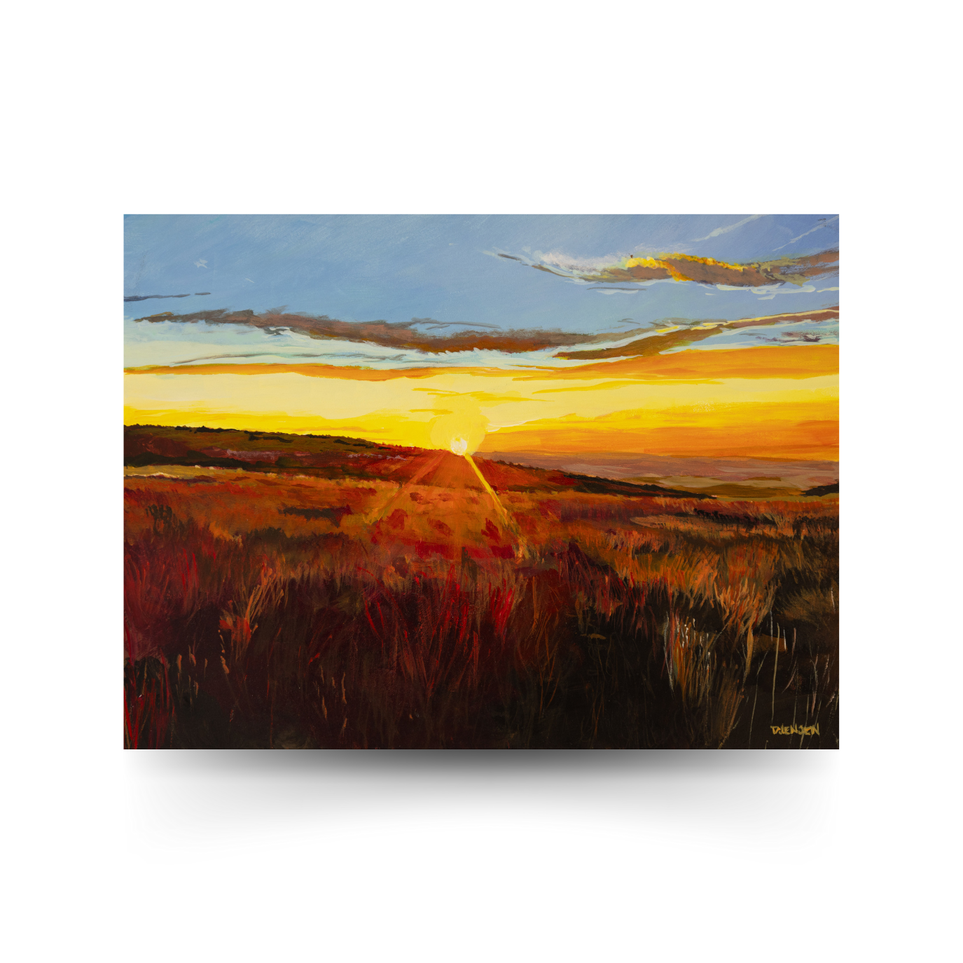 "Illumination" 1 Corinthians 14:33